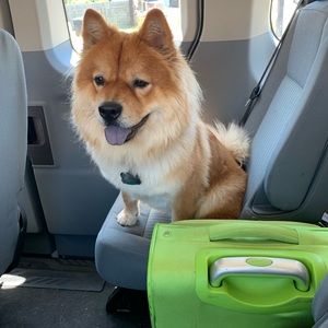 Meet your Posher, Chris